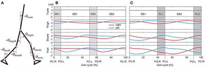 Variant and Invariant Spatiotemporal Structures in Kinematic Coordination to Regulate Speed During Walking and Running